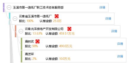 玉溪市第一造紙廠職工技術咨詢服務部 信息技術咨詢服務的創新與價值
